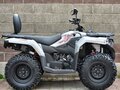 2026 Loncin XWolf 300, серый, 485000 рублей - вид 8