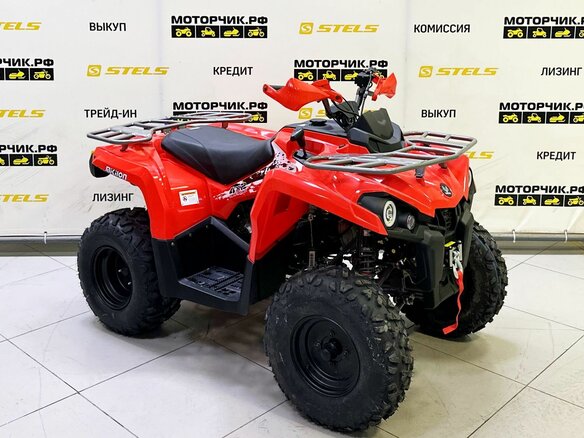 2025 Bison ATV200, красный - вид 6
