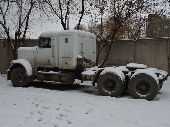 1991 Freightliner FLD, белый
