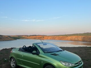 2004 Peugeot 206, зелёный, 730000 рублей, вид 1