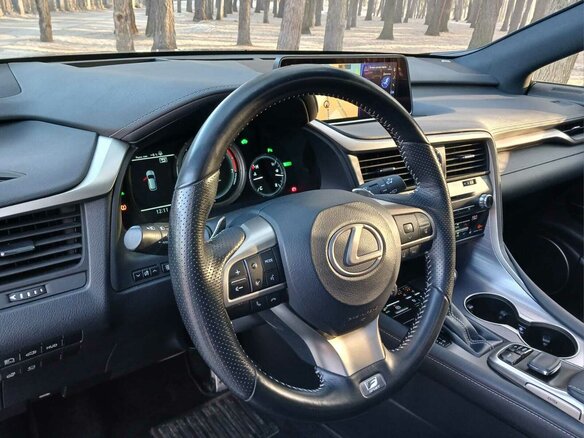 2019 Lexus RX 450h IV, синий, 5900000 рублей - вид 15
