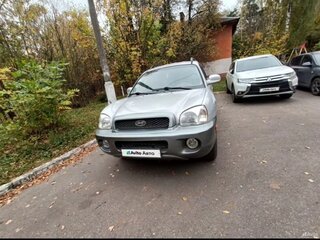 2000 Hyundai Santa Fe I, серый, 540000 рублей, вид 2