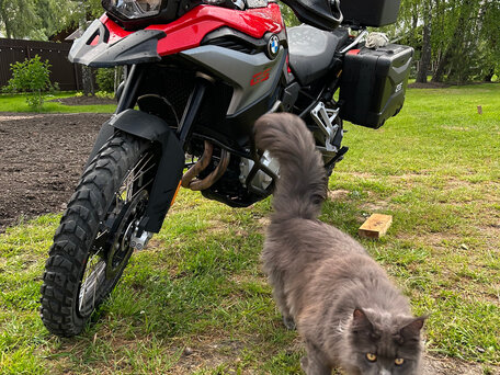 2020 BMW F 850 GS, красный, 1570000 рублей, вид 1