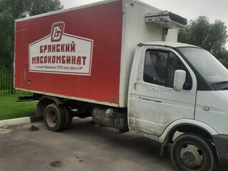 2003 ГАЗ ГАЗель (3302), белый, 950000 рублей, вид 4