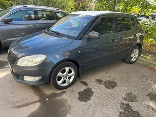 2010 Skoda Fabia II Рестайлинг, серый, 525000 рублей, вид 1