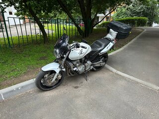 2002 Honda CB 600F Hornet, белый, 319999 рублей, вид 1