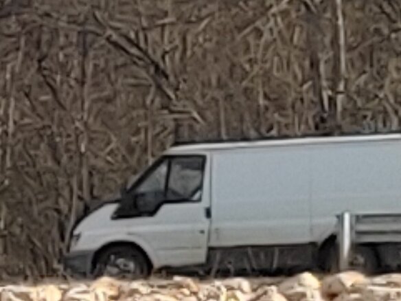 2002 Ford Transit, белый, 347000 рублей - вид 7