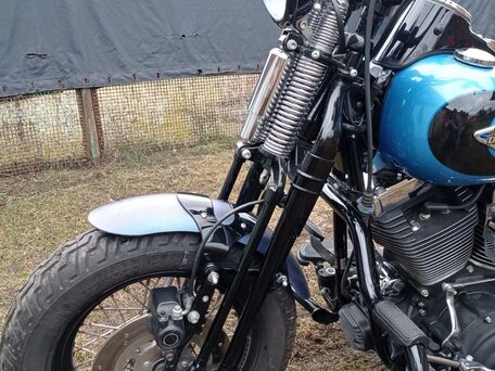 2010 Harley-Davidson Cross Bones, голубой, 1099000 рублей, вид 5