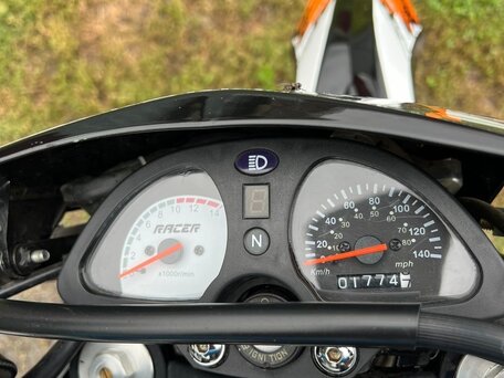 2019 Racer Panther, оранжевый, 130000 рублей, вид 5
