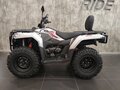 2026 Loncin XWolf 300, серый, 485000 рублей - вид 3