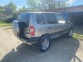 2007 Chevrolet Niva I, серый, 598000 рублей - вид 8