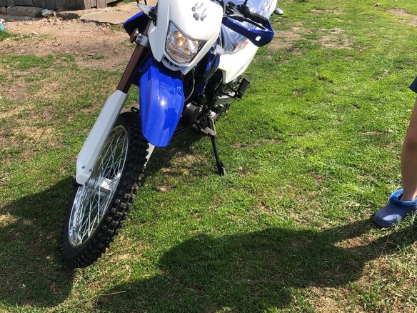 2021 Irbis TTR 250, синий, 150000 рублей - вид 1
