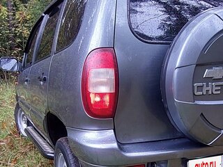 2007 Chevrolet Niva I, серый, 495000 рублей, вид 4