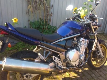 2008 Suzuki Bandit GSF 1250, синий, 450000 рублей, вид 2