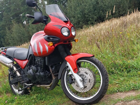 2002 Triumph Tiger 955i, пурпурный, 320000 рублей - вид 8