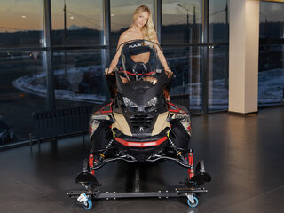 2025 AODES (Odes) Snowcross 1000, красный, 999000 рублей, вид 2