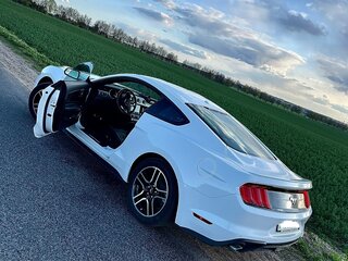 2019 Ford Mustang VI Рестайлинг, белый, 2300000 рублей, вид 4