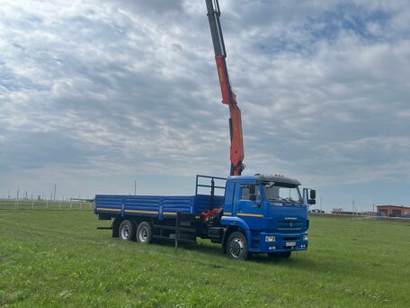 2011 КамАЗ 65117, синий, 4600000 рублей, вид 5