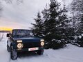 2006 Lada (ВАЗ) 2121 (4x4) I Рестайлинг, синий, 510000 рублей