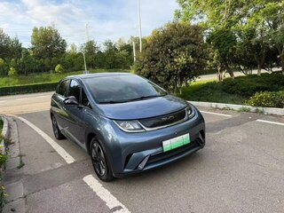 2024 BYD Dolphin 44.9 kWh I, голубой, 1450000 рублей, вид 1