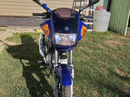 2019 Yamaha YBR125, синий, 299999 рублей, вид 3