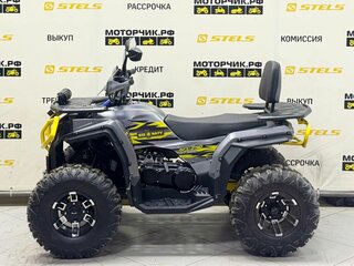 2026 Bison ATV 250F, серый, 239900 рублей, вид 2