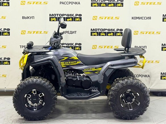 2026 Bison ATV 250F, серый - вид 1