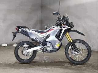 2021 Honda CRF 250L Rally, серый, 700000 рублей, вид 1