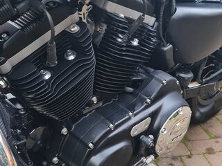 2011 Harley-Davidson Sportster 883, жёлтый, 799000 рублей, вид 1