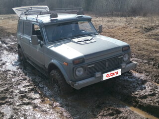 2006 Lada (ВАЗ) 2131 (4x4) 213105 I, серый, 480000 рублей, вид 2