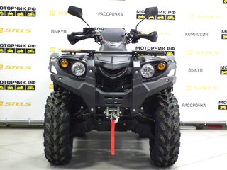 2026 Stels ATV-600YL Леопард, чёрный, 669000 рублей, вид 5