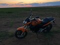 2014 Stels Flex 250, оранжевый, 135000 рублей - вид 4