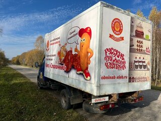 2010 ГАЗ ГАЗель (3302), синий, 850000 рублей, вид 5