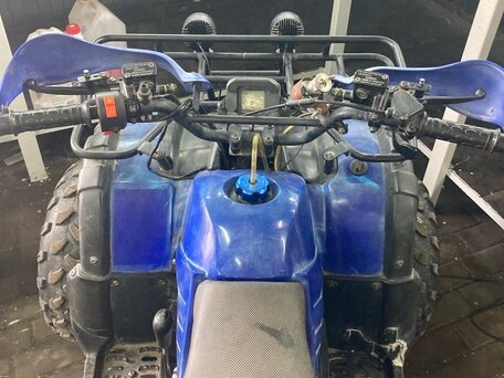 2017 Motoland ATV 125 Fox, синий, 75000 рублей, вид 4