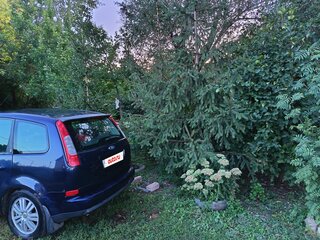 2004 Ford C-MAX I, синий, 303000 рублей, вид 3