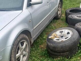2001 Volkswagen Passat B5 Рестайлинг, белый, 305000 рублей, вид 4