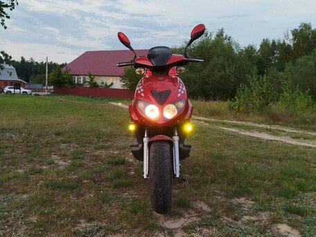 2008 Irbis RX 50, красный, 55000 рублей, вид 5