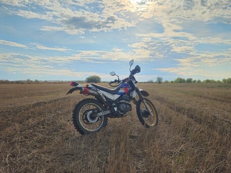 2001 Kawasaki KL 250, синий, 240000 рублей, вид 2