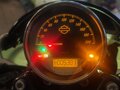 2018 Harley-Davidson Street Rod, белый, 650000 рублей - вид 4