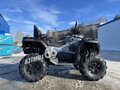 2025 CFMoto CFORCE 1000 EPS, серый, 1599900 рублей - вид 2
