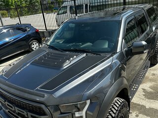 2020 Ford F-150 Raptor XIII Рестайлинг, серый, 11000000 рублей, вид 2