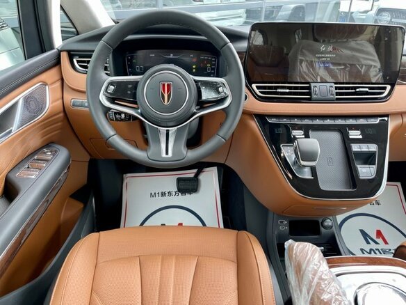 2023 Hongqi HQ9, серебристый - вид 14