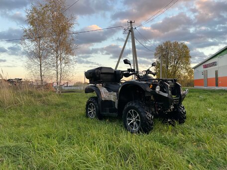 2020 Stels ATV-600YL Леопард, серый, 355000 рублей, вид 2