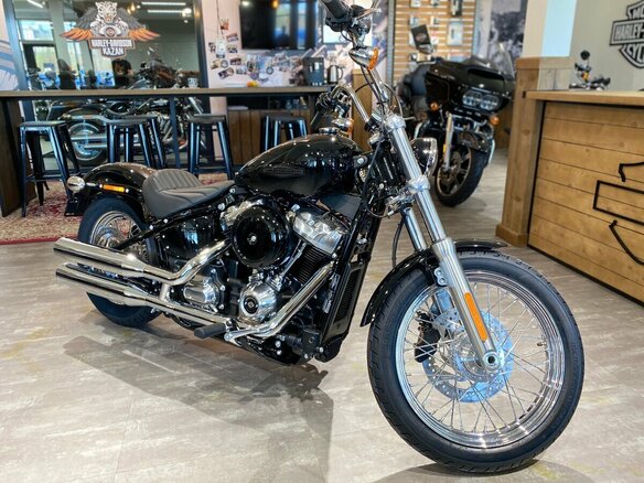 2022 Harley-Davidson Softail Standard, чёрный, 2150000 рублей - вид 8