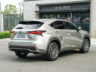 2020 Lexus NX 200 I Рестайлинг, серый, 2260000 рублей, вид 5