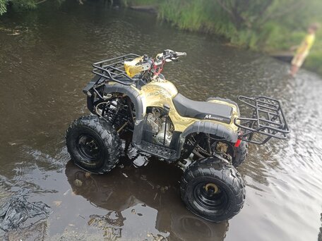 2017 Motoland ATV 125 Fox, золотистый, 100000 рублей, вид 3