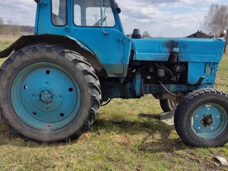 1981 МТЗ (BELARUS) 80, 390000 рублей, вид 3