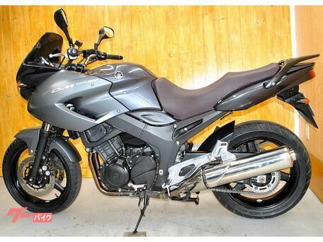 2010 Yamaha TDM900, серый, 530000 рублей, вид 3