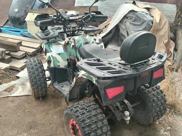 2024 Wels AX 125 PRO, зелёный, 115000 рублей