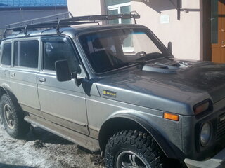 2006 Lada (ВАЗ) 2131 (4x4) 213105 I, серый, 480000 рублей, вид 4